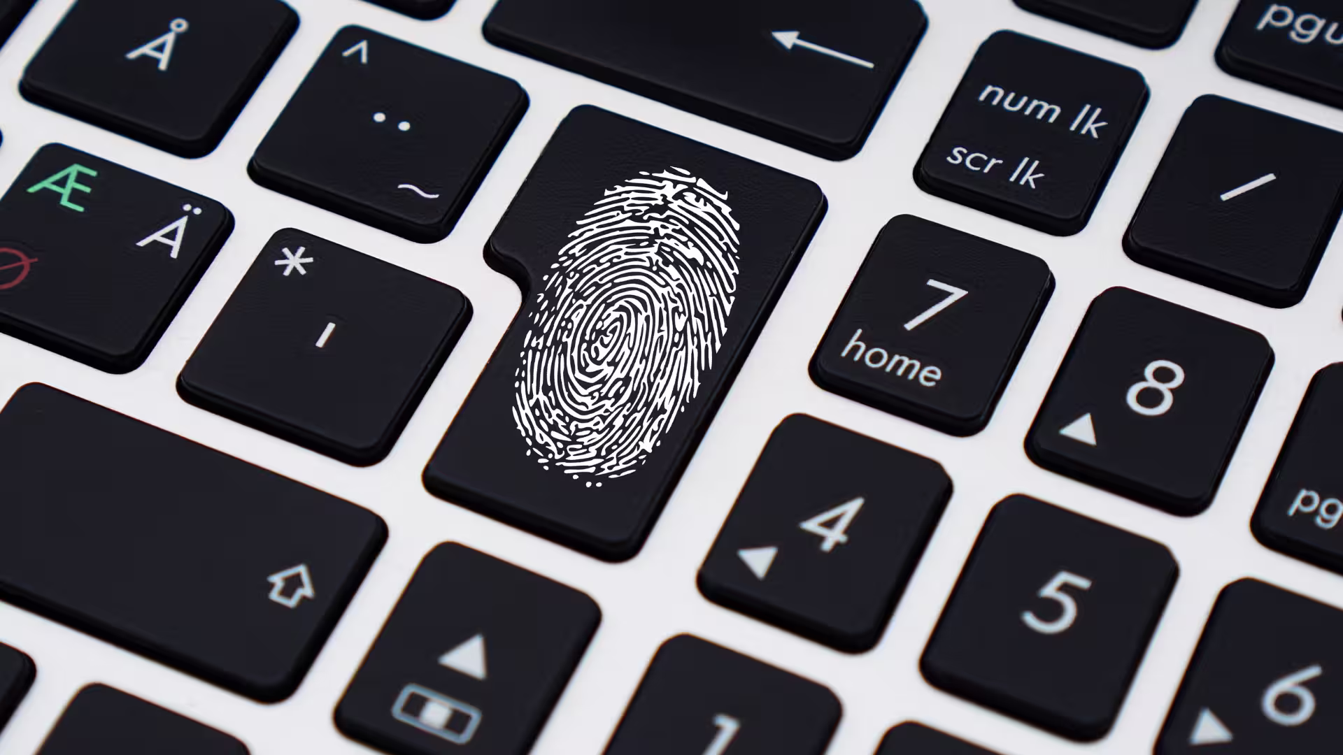 Datenschutz bei Copilot und ChatGPT