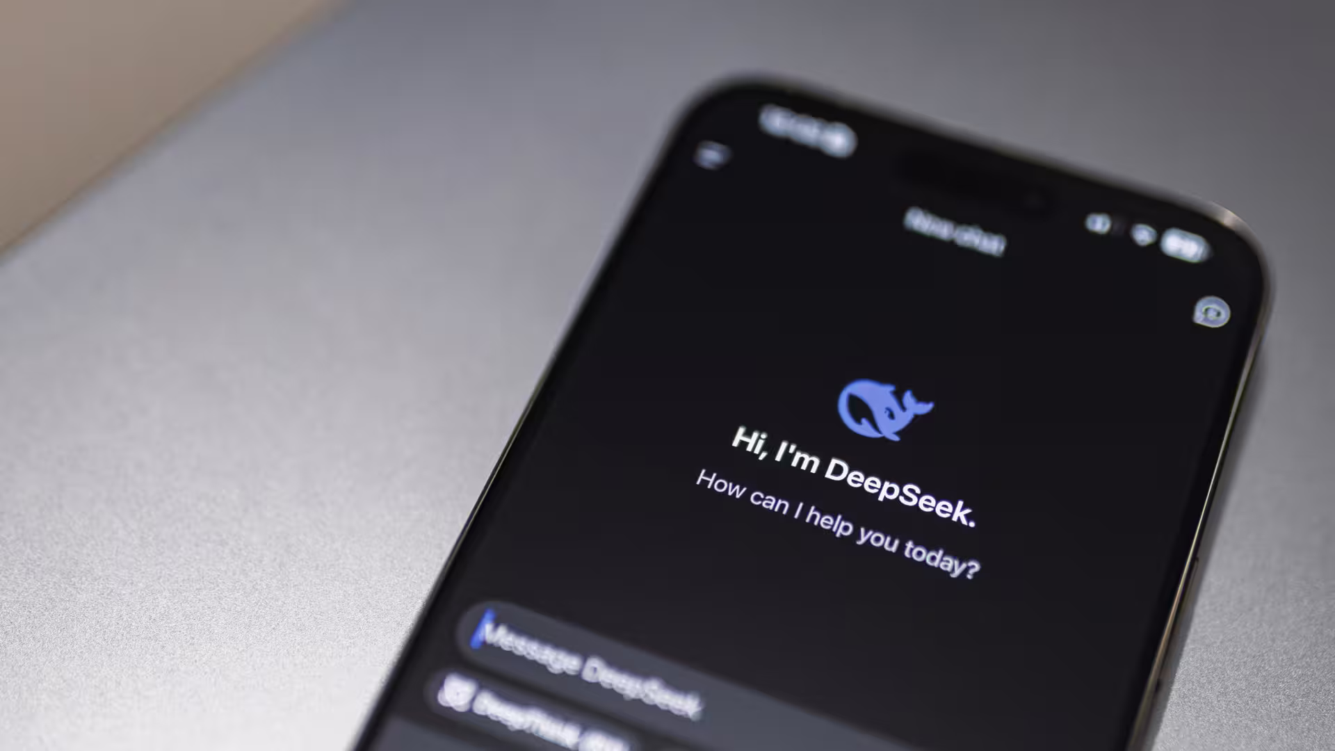 ChatBot DeepSeek auf dem Handy